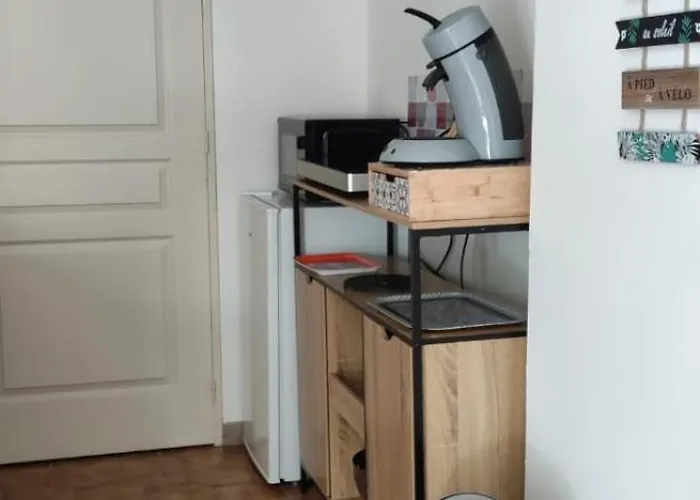 A L Ombre Du Figuier Cagnac-les-Mines