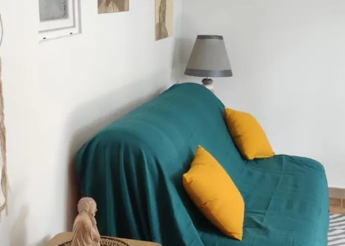 A L Ombre Du Figuier * Cagnac-les-Mines