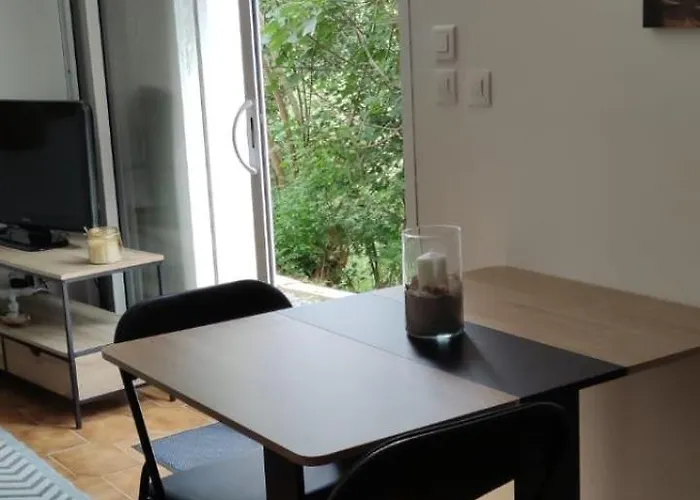 A L Ombre Du Figuier * Cagnac-les-Mines